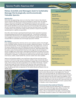 Species Profile: Atlantic Sturgeon Species Profile: American