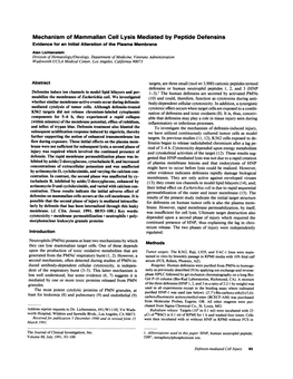 Mechanism of Mammalian Cell Lysis Mediated by Peptide Defensins