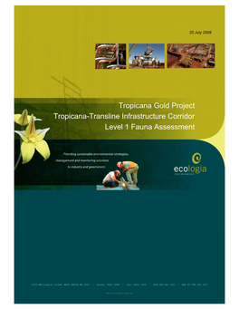 TGP Infrastructure Corridor Tropicana- Transline