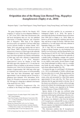 Oviposition Sites of the Hoang Lien Horned Frog, Megophrys Hoanglienensis (Tapley Et Al., 2018)