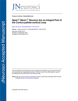 Npas1+-Nkx2.1+ Neurons Are an Integral Part of the Cortico-Pallido-Cortical Loop