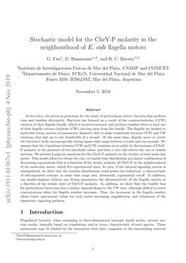 Stochastic Model for the Chey-P Molarity in the Neighbourhood of E
