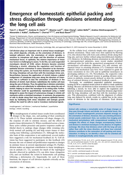 Emergence of Homeostatic Epithelial Packing and Stress Dissipation Through Divisions Oriented Along the Long Cell Axis