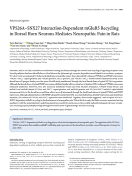VPS26A–SNX27 Interaction-Dependent Mglur5 Recycling in Dorsal Horn Neurons Mediates Neuropathic Pain in Rats