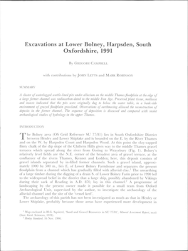 Excavations at Lower Bolney, Harpsden, South Oxfordshire, 1991