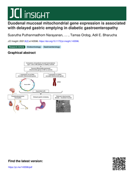 Duodenal Mucosal Mitochondrial Gene Expression Is Associated with Delayed Gastric Emptying in Diabetic Gastroenteropathy