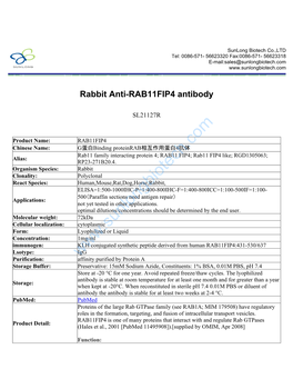 Rabbit Anti-RAB11FIP4 Antibody-SL21127R