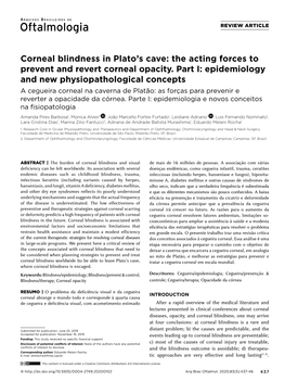 Corneal Blindness in Plato's Cave: the Acting Forces to Prevent and Revert