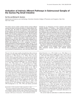 Activation of Intrinsic Afferent Pathways in Submucosal Ganglia of the Guinea Pig Small Intestine