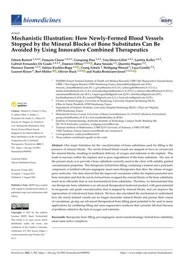 How Newly-Formed Blood Vessels Stopped by the Mineral Blocks of Bone Substitutes Can Be Avoided by Using Innovative Combined Therapeutics