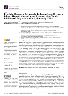 Beneficial Changes in Rat Vascular Endocannabinoid System In