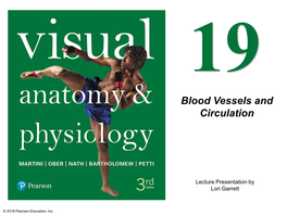 Blood Vessels and Circulation