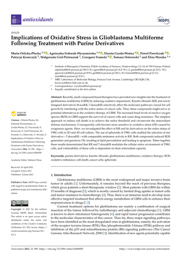 Implications of Oxidative Stress in Glioblastoma Multiforme Following Treatment with Purine Derivatives