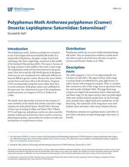 Polyphemus Moth Antheraea Polyphemus (Cramer) (Insecta: Lepidoptera: Saturniidae: Saturniinae)1 Donald W