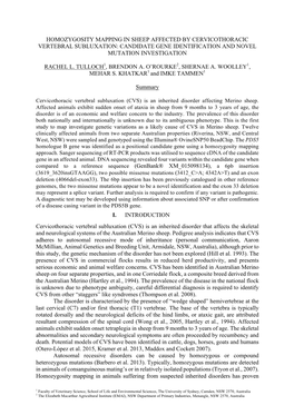 Homozygosity Mapping in Sheep Affected by Cervicothoracic Vertebral Subluxation: Candidate Gene Identification and Novel Mutation Investigation