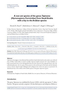A New Ant Species of the Genus Tapinoma (Hymenoptera, Formicidae) from Saudi Arabia with a Key to the Arabian Species