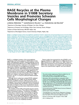 RAGE Recycles at the Plasma Membrane in S100B Secretory