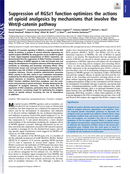 Suppression of Rgsz1 Function Optimizes the Actions of Opioid