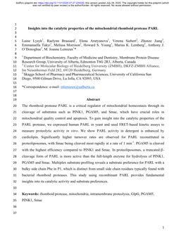 Insights Into the Catalytic Properties of the Mitochondrial Rhomboid