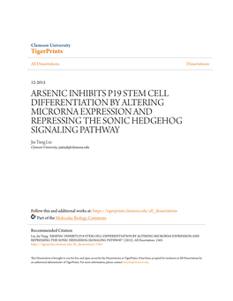 Arsenic Inhibits P19 Stem Cell Differentiation by Altering
