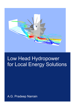 Low Head Hydropower for Local Energy Solutions