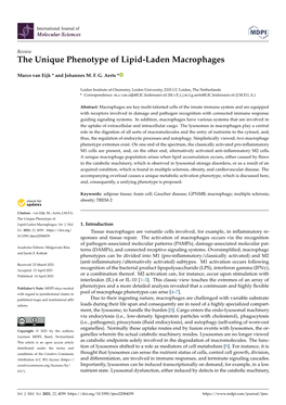 The Unique Phenotype of Lipid-Laden Macrophages