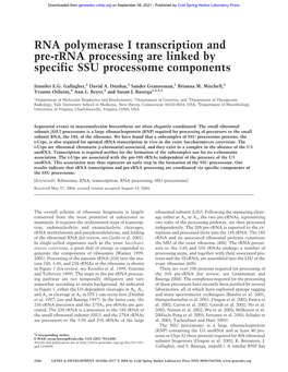 RNA Polymerase I Transcription and Pre-Rrna Processing Are Linked by Specific SSU Processome Components