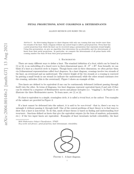 Petal Projections, Knot Colorings and Determinants