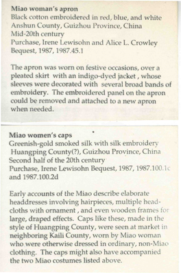 Miao Woman's Apron Black Cotton Embroidered in Red, Blue, and White Anshun County, Guizhou Province, China Mid-20Th Century Purchase, Irene Lewisohn and Alice L