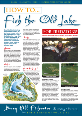 Learn How to Fish the Old Lake for Predators