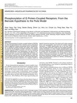 Phosphorylation of G Protein-Coupled Receptors: from the Barcode Hypothesis to the Flute Model