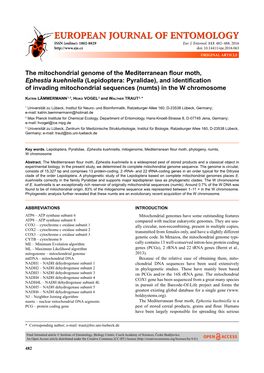 The Mitochondrial Genome of the Mediterranean
