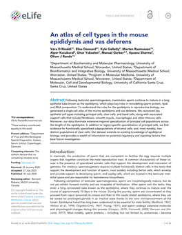 An Atlas of Cell Types in the Mouse Epididymis and Vas Deferens
