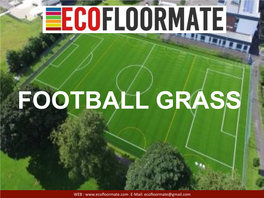 Football Grass