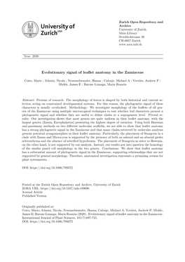 Evolutionary Signal of Leaflet Anatomy in the Zamiaceae