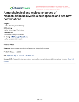 A Morphological and Molecular Survey of Neoconidiobolus Reveals a New Species and Two New Combinations