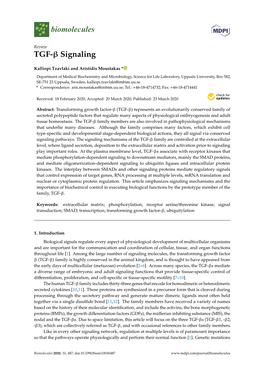 TGF-Β Signaling