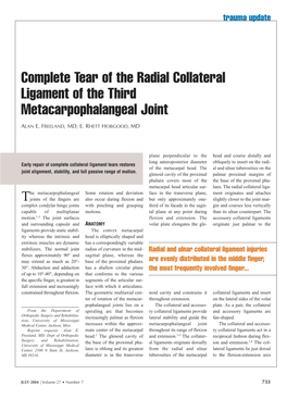 Complete Tear of the Radial Collateral Ligament of the Third Metacarpophalangeal Joint