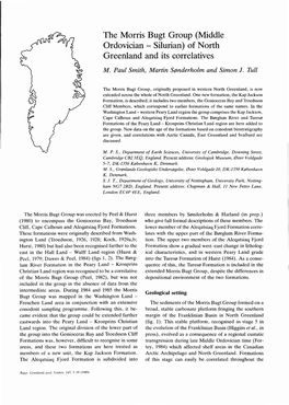 The Morris Bugt Group (Middle Ordovician - Silurian) of North Greenland and Its Correlatives