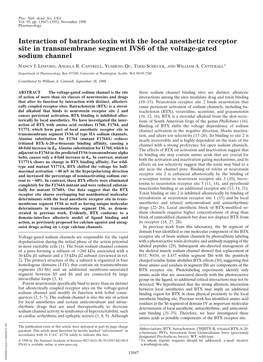 Interaction of Batrachotoxin with the Local Anesthetic Receptor Site in Transmembrane Segment IVS6 of the Voltage-Gated Sodium Channel