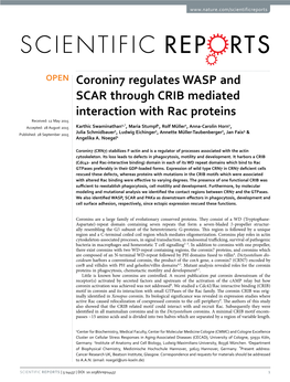 Coronin7 Regulates WASP and SCAR Through CRIB Mediated Interaction