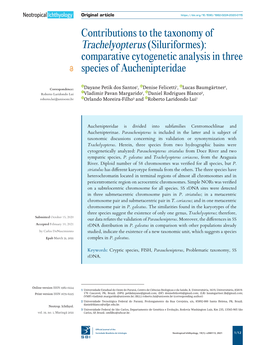 Contributions to the Taxonomy of Trachelyopterus (Siluriformes): Comparative Cytogenetic Analysis in Three Species of Auchenipteridae