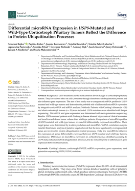 Differential Microrna Expression in USP8-Mutated and Wild-Type Corticotroph Pituitary Tumors Reﬂect the Difference in Protein Ubiquitination Processes