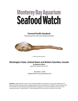 Farmed Pacific Geoduck Washington State, United States and British Columbia, Canada