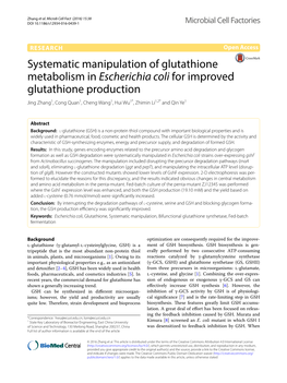 Systematic Manipulation of Glutathione Metabolism in Escherichia Coli for Improved Glutathione Production