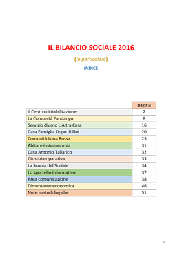 IL BILANCIO SOCIALE 2016 (In Particolare) INDICE