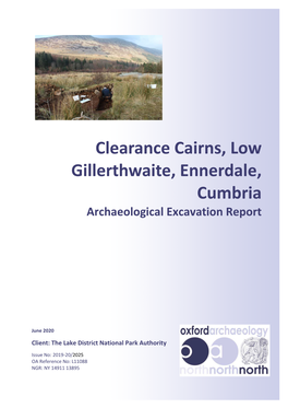 2020 River Liza Cairns Excavations Report