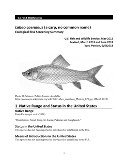 Labeo Caeruleus (A Carp, No Common Name) Ecological Risk Screening Summary