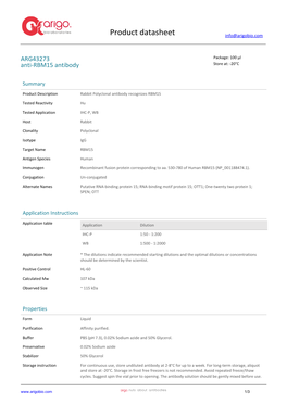 Anti-RBM15 Antibody (ARG43273)