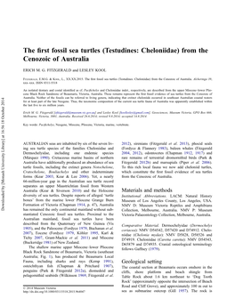 The First Fossil Sea Turtles (Testudines: Cheloniidae)